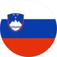 Slovenska zastavica za povezava na spletno stran v slovenščini